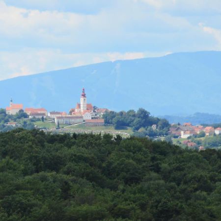 Apartmenthaus Styria Bad Gleichenberg Esterno foto