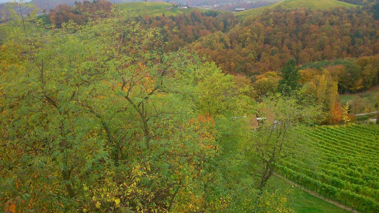 Apartmenthaus Styria Bad Gleichenberg Esterno foto